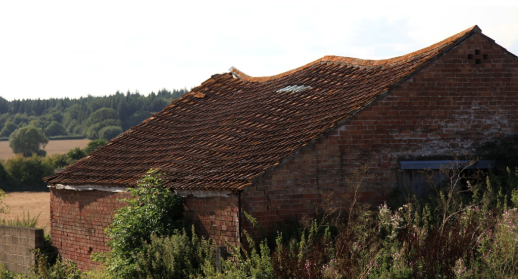 Acceptable Roof Sag