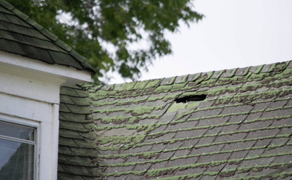  Clean Mold Off Roof Shingles