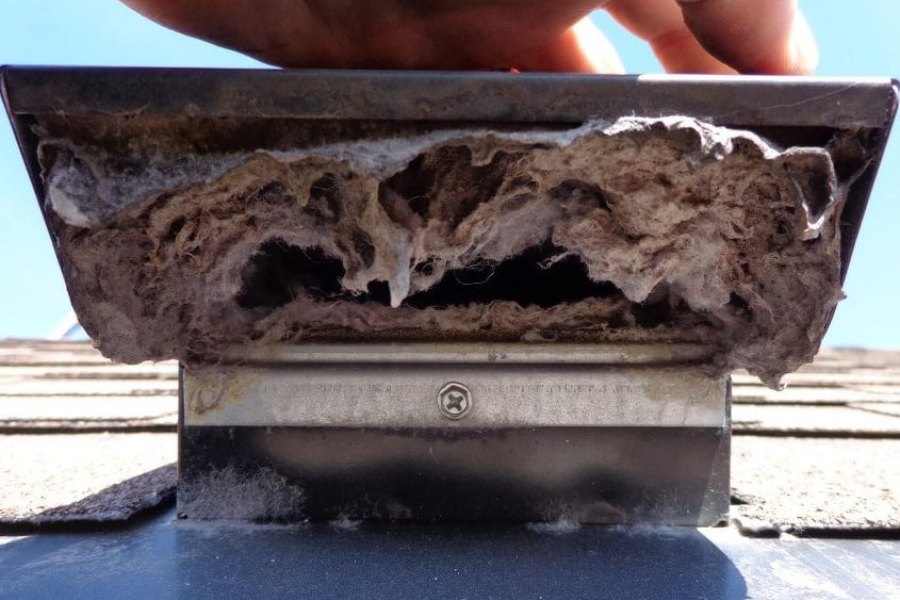 How Often Should You Clean Dryer Vent on Roof